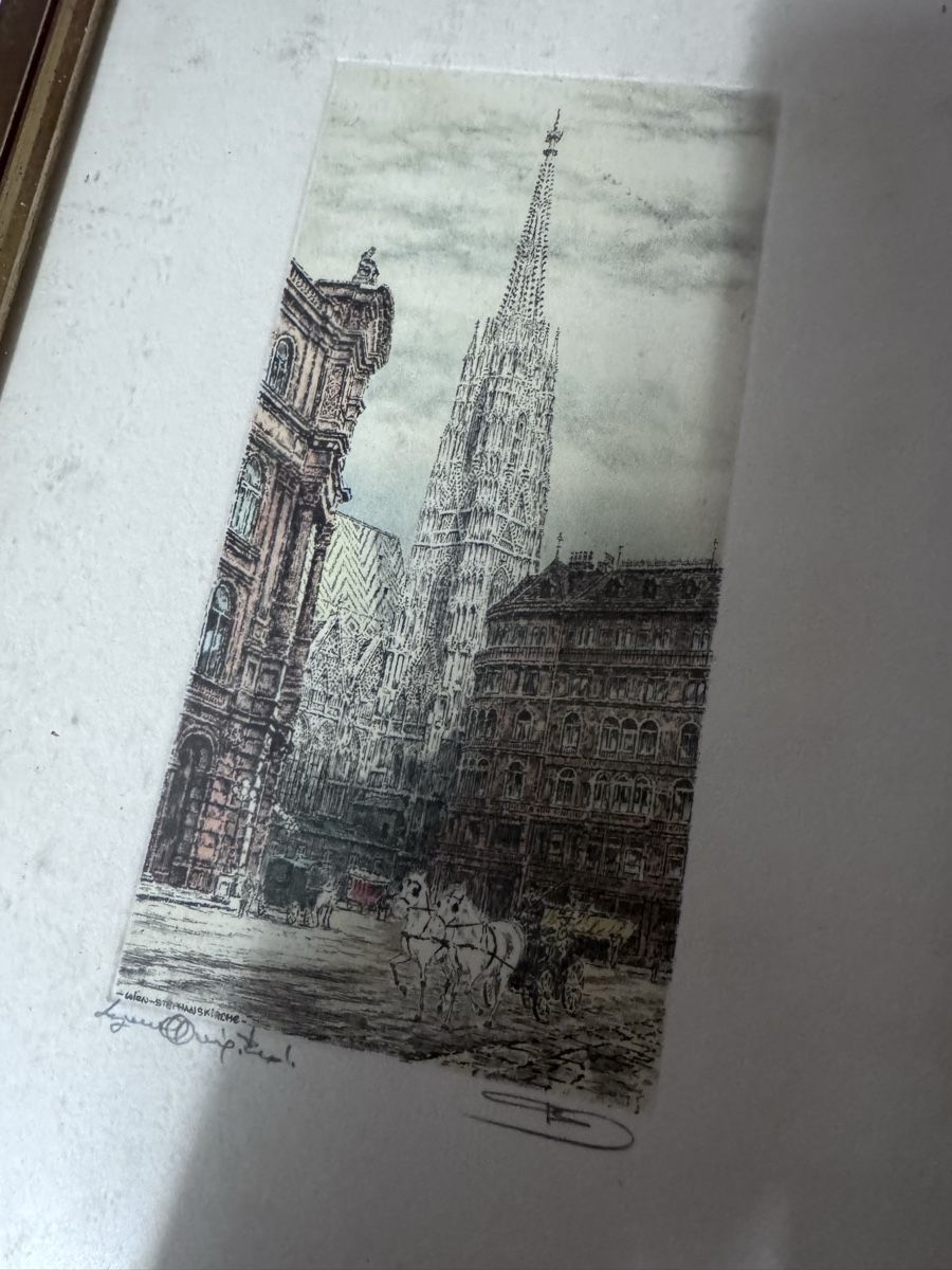 Gemälde: Bild Wien Stephansdom, gerahmt – Gebraucht aus Winterthur von Zahir02 1
