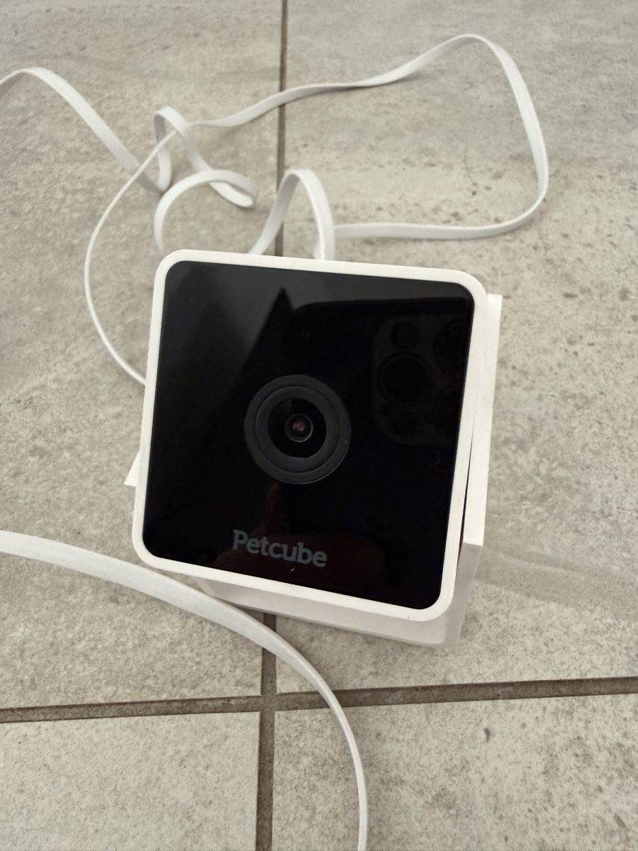 Videocamere: Petcube caméra/ distributeur de croquettes et caméra simple – Usato da Gempenach venduto da rebec97 5