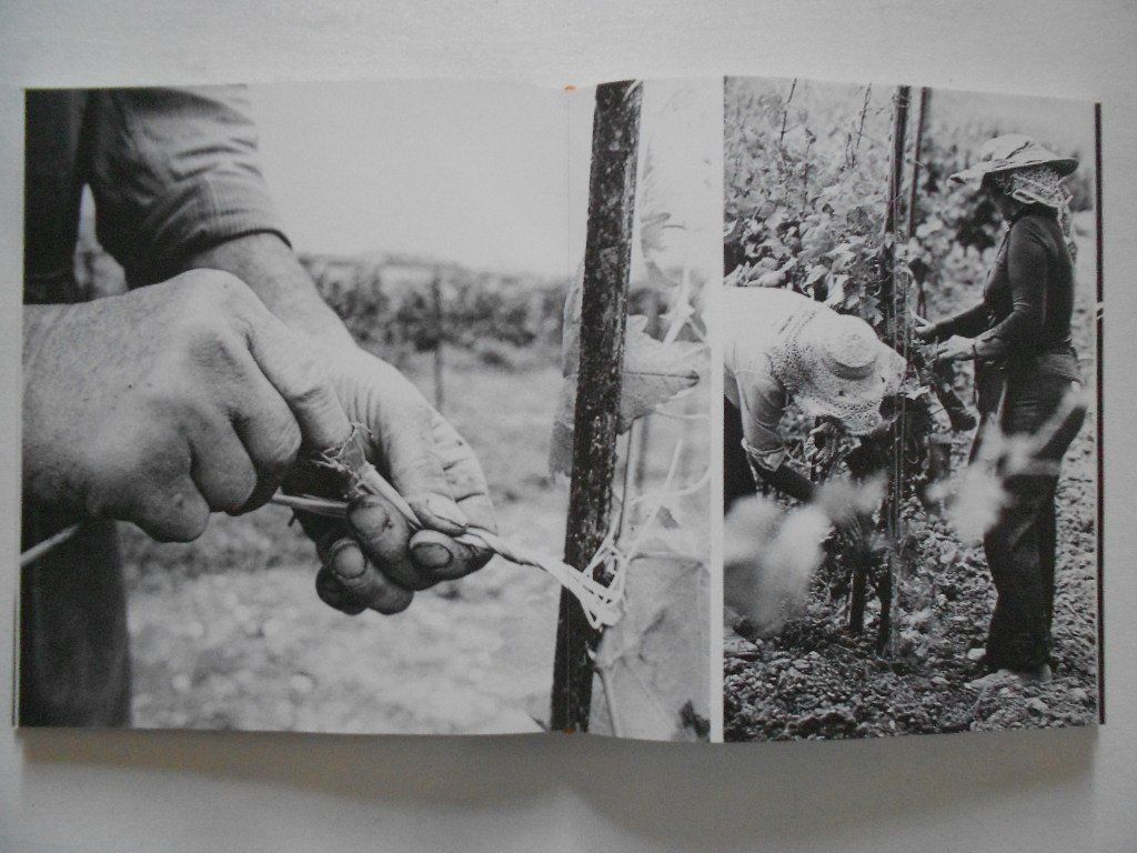 Libri: LE VIN VAUDOIS – Usato da Bex venduto da Giorgiob 5
