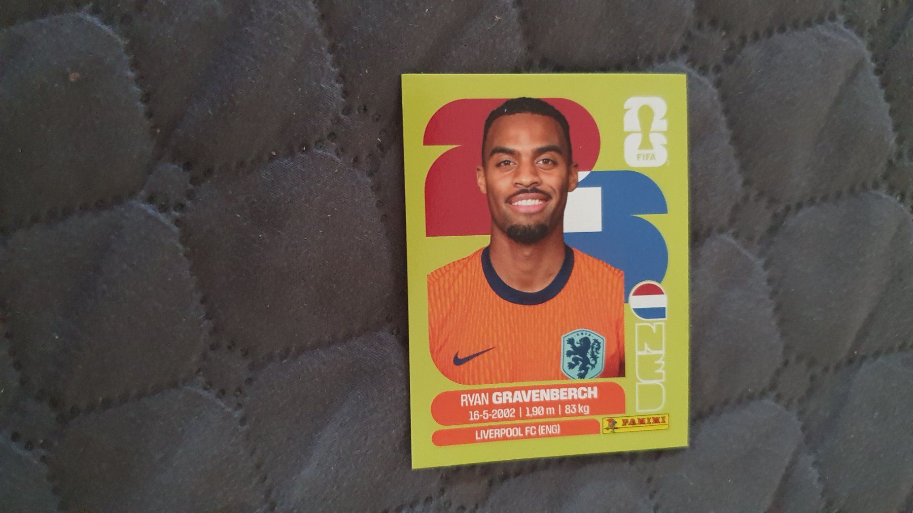 Panini Carte collezionabili: Panini WM 2026 - NED 11 – Usato da Beromünster venduto da boeggy