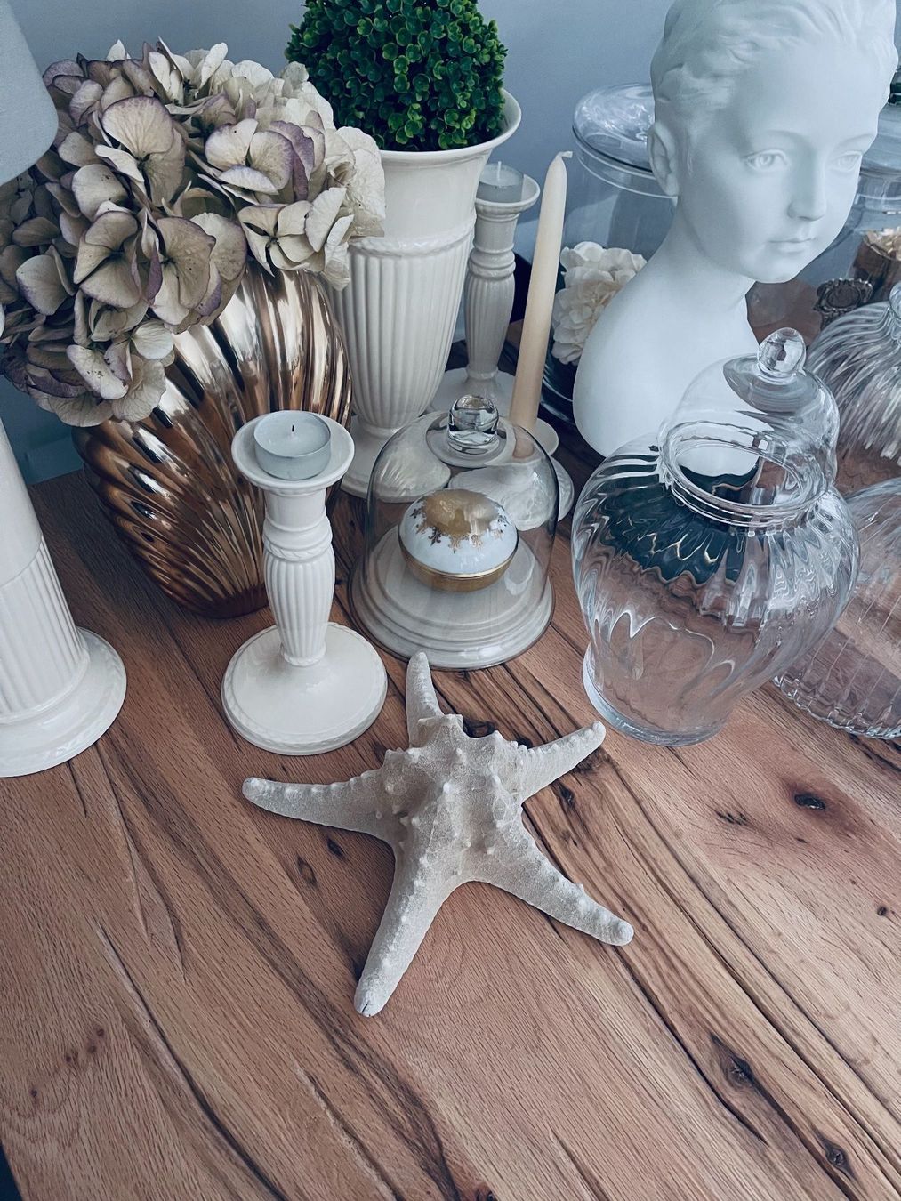 Fossilien: Muscheln Set – Gebraucht aus Winkel von KaschmirArt 2