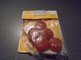 Filzgleiter selbstklebend, 5 Stück, 28 mm, braun Ton