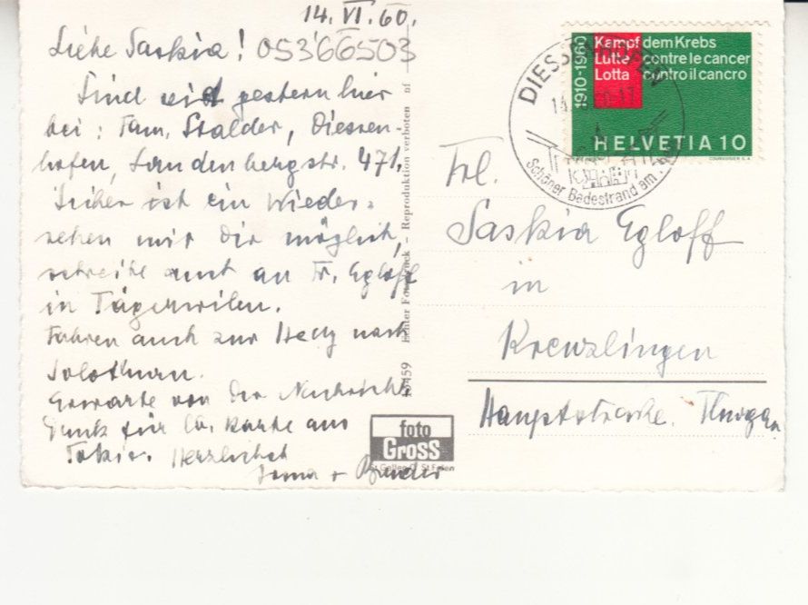 Cartoline postali: Diessenhofen 1960 – Usato da Bürglen TG venduto da StampGraf 1