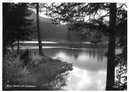 Films motive am caumasee