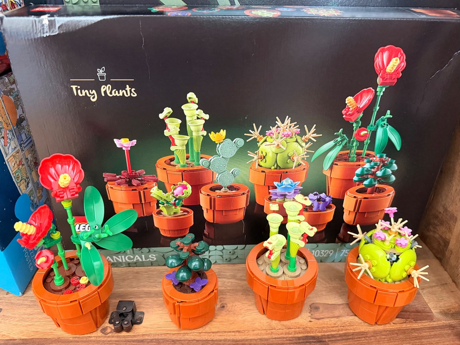 Lego Baukästen: Lego Botanicals Tiny Plants – Neu (gemäss Beschreibung) aus Zug von mcm.v.i