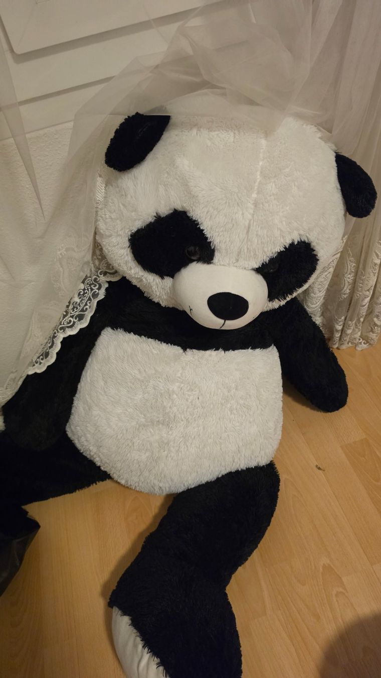 Giocattoli: Pandabär XL – Usato da Winterthur venduto da mat_q6yk
