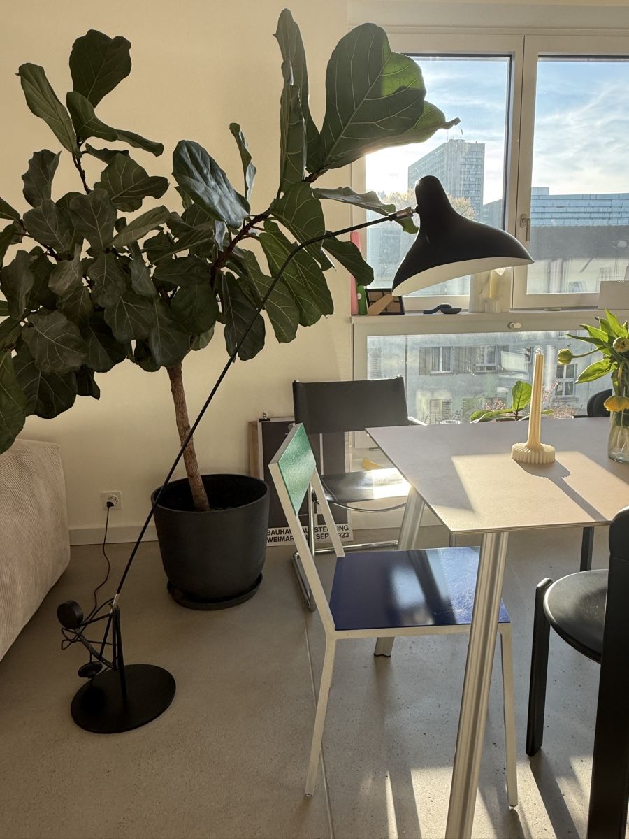 Lampen: DCW - Mantis BS1 Stehleuchte, schwarz – Neu (gemäss Beschreibung) aus Zürich von anna_123 2