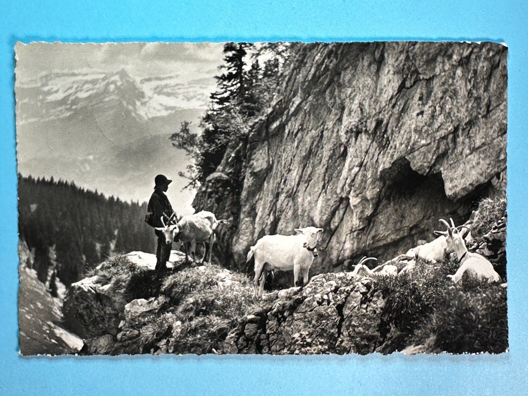 Cartoline postali: Leysin - Le Chevrier - belebt – Usato da Steg VS venduto da danwer74