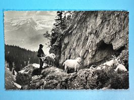 Leysin - Le Chevrier - belebt