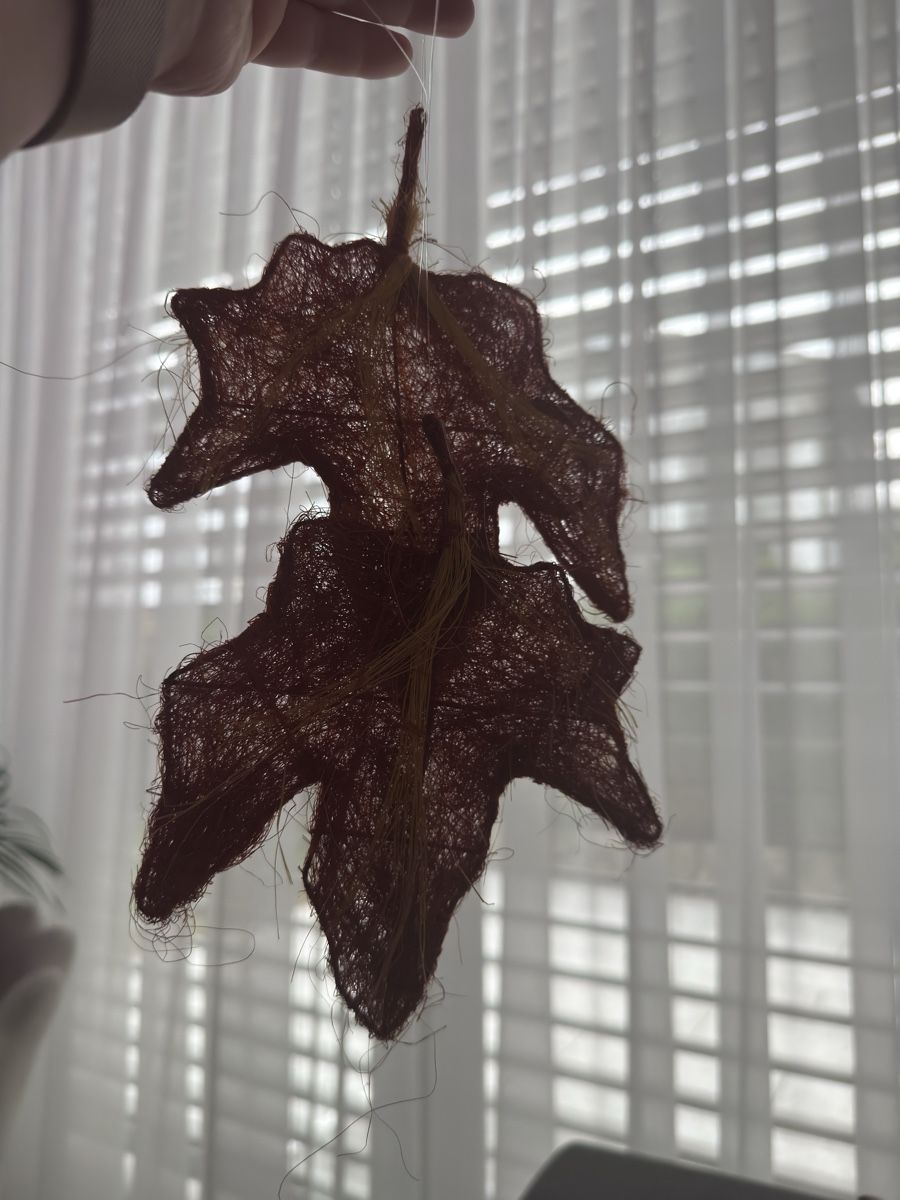 Tutte le decorazioni: Herbst Deko | Herbstblätter – Nuovo (secondo la descrizione) da Sins venduto da sum_lv6d 1