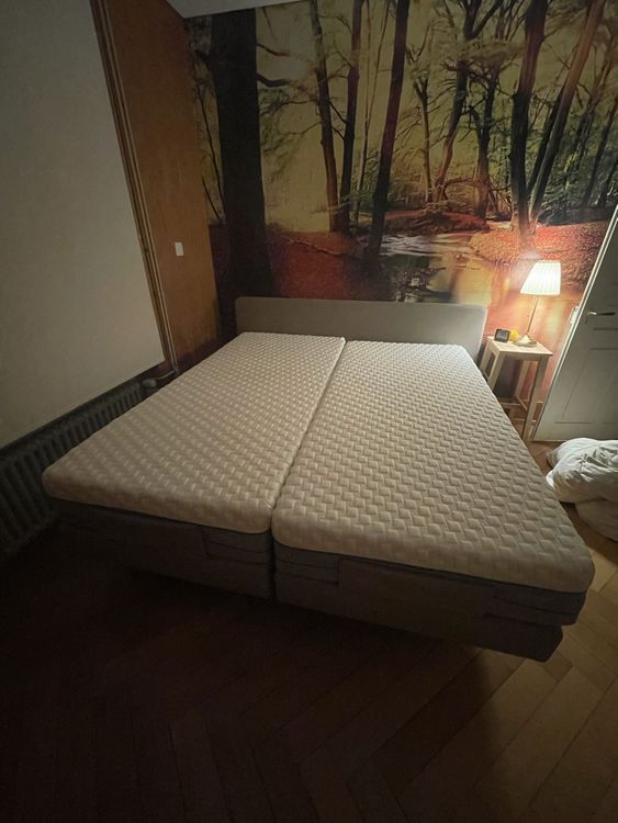 Boxspring Bett vollelektrisch mit 2 Gelmatratzen | Kaufen auf Ricardo
