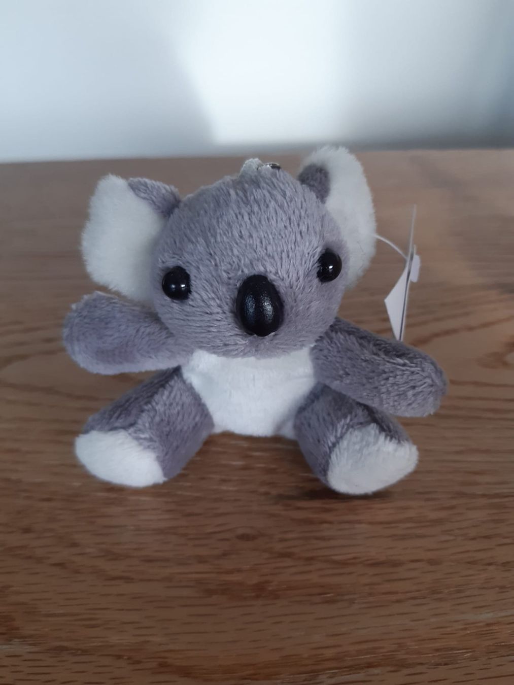 Portachiavi: Koala als Schlüsselanhänger – Nuovo (secondo la descrizione) da Bassersdorf venduto da Marmottli