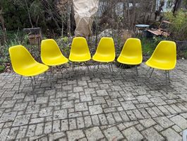 6er Set Vitra Eames Plastic Chairs in Gelb
