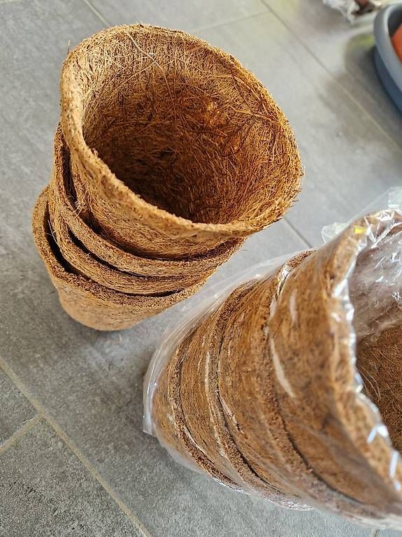 Vasi per fiori: Anzuchttoepfe x8 – Nuovo (secondo la descrizione) da Dübendorf venduto da Olenaaa 1
