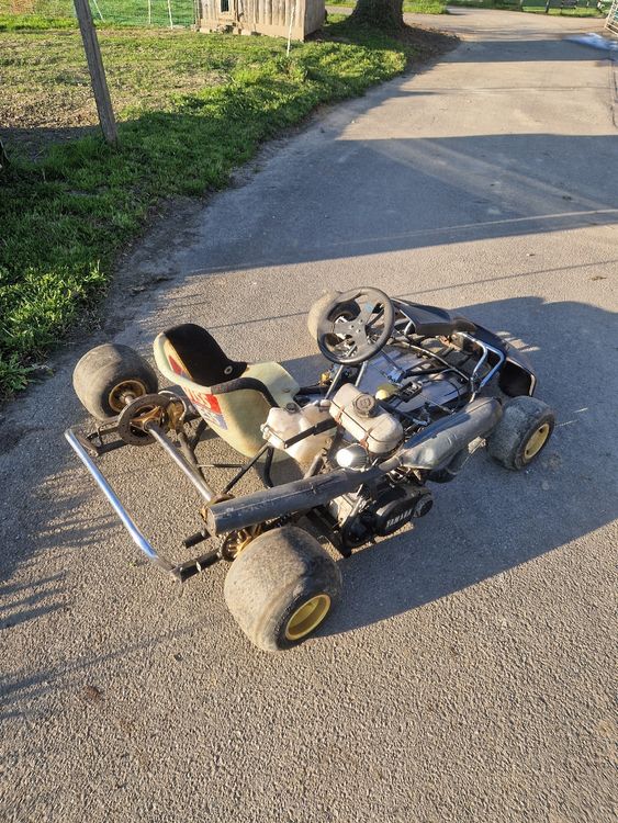 Go-Kart mit 125cc Yamaha Motor 5