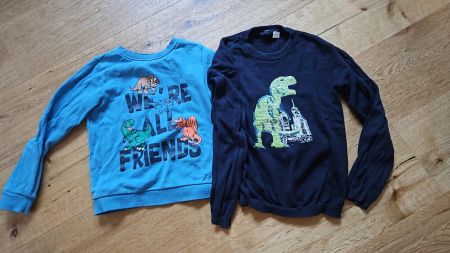 2 Pullover Kinder Dinosaurier Motiv Grösse 122/128
