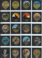 KRD. Safari 1994 / 242 A