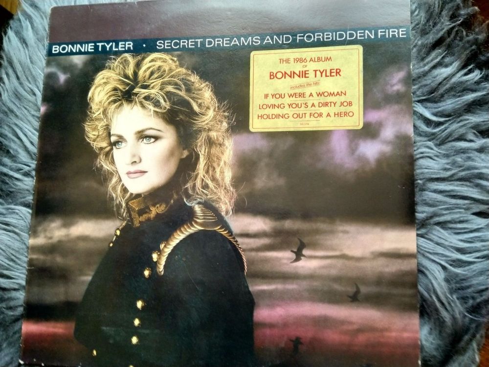 LP Vinyl Bonnie Tyler Secret Dreams and Forbidden Fire (Gebraucht) in ...