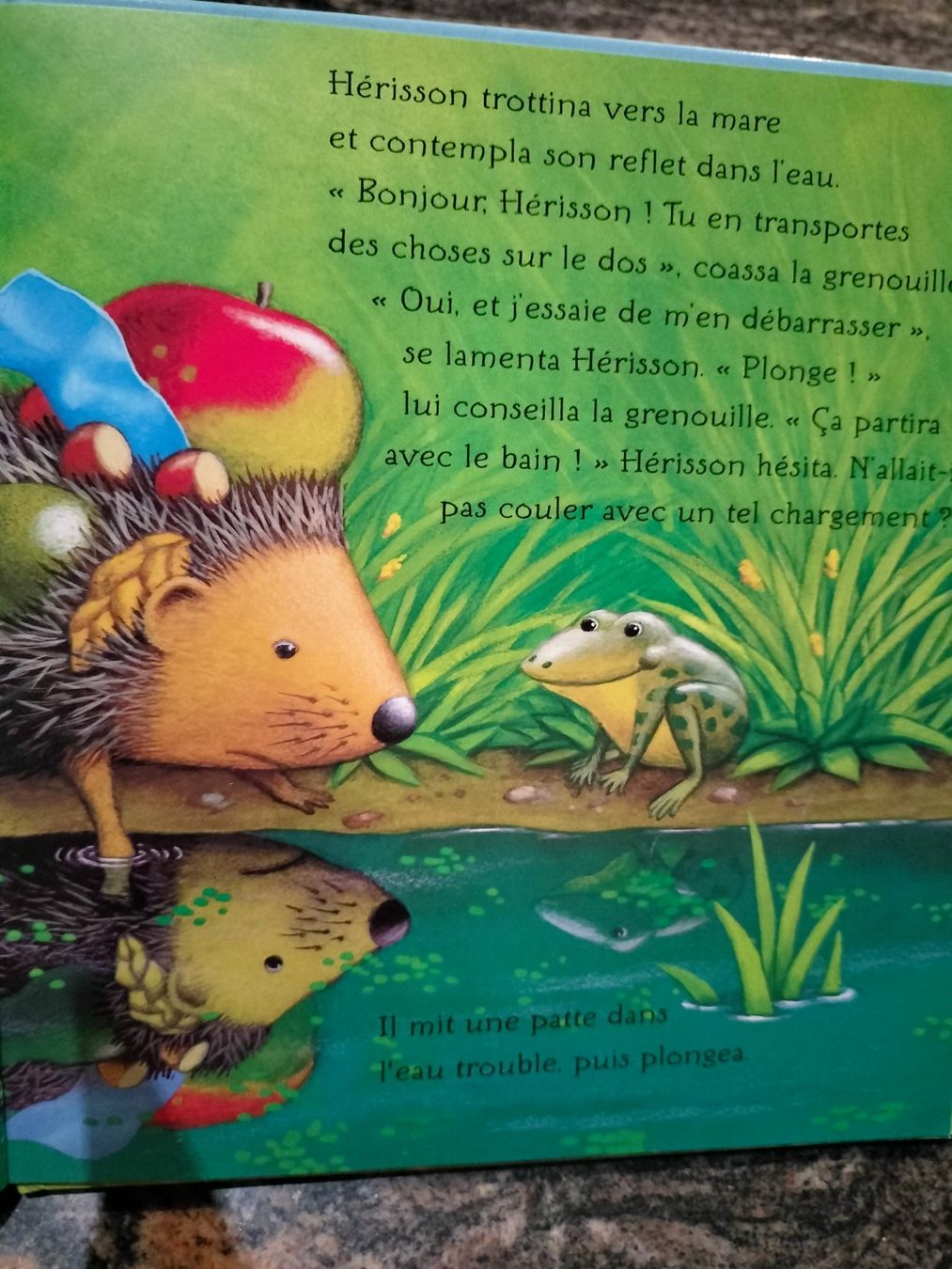 Bücher: La piquante aventure de hérisson – Gebraucht aus Cortaillod von rozinna 8
