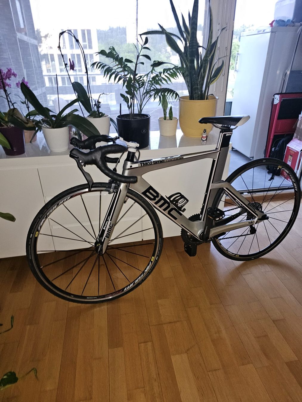 BMC Biciclette: BMC Time machine 02 carbon – Usato da Bern venduto da choco81