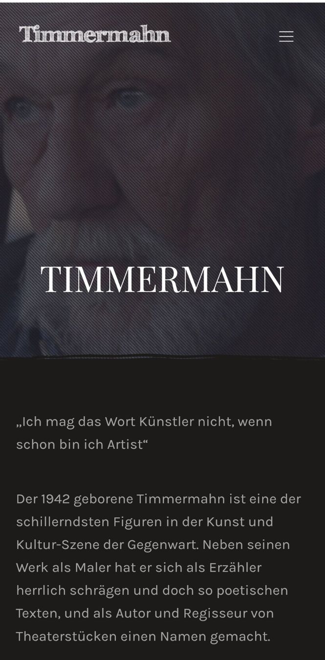 Dipinti: Timmermahn "flying mother over Amsterdam" Oelgemälde – Nuovo (secondo la descrizione) da Ostermundigen venduto da louisetcoco13 4