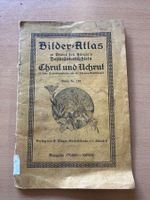 Kräuter-Bilderatlas 1925: Pfarrer Künzle m. ries. Falttafel