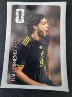 Panini - CocaCola Sticker CC8 (Raul Jimenez)