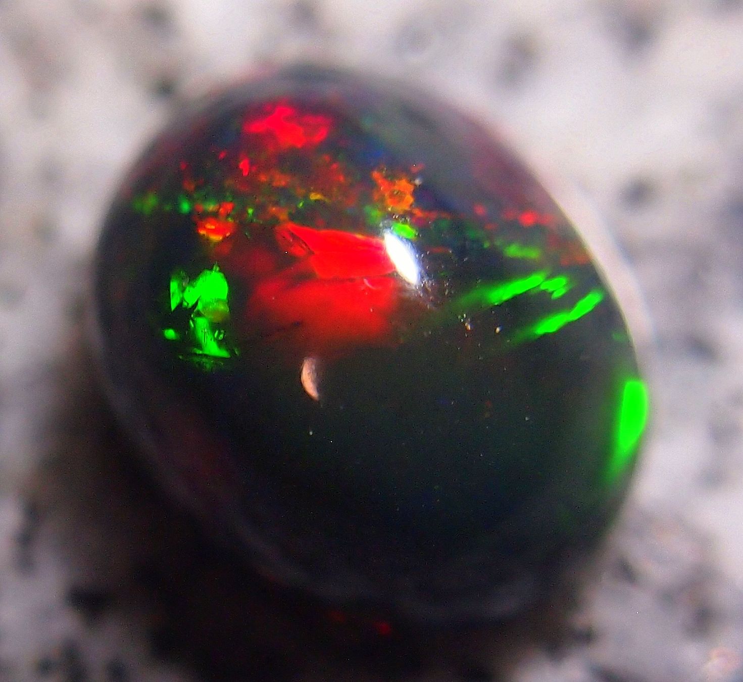 Pietre preziose: 4,4 CTS WELO-FEUEROPAL brilliant AAA – Nuovo e nell'imballaggio originale da Reinach BL venduto da blumarco 4