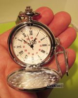 Taschenuhr mit Deckel in silber inkl. Kette