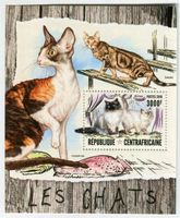 Block Katzen. Zentralafrikanische Republik
