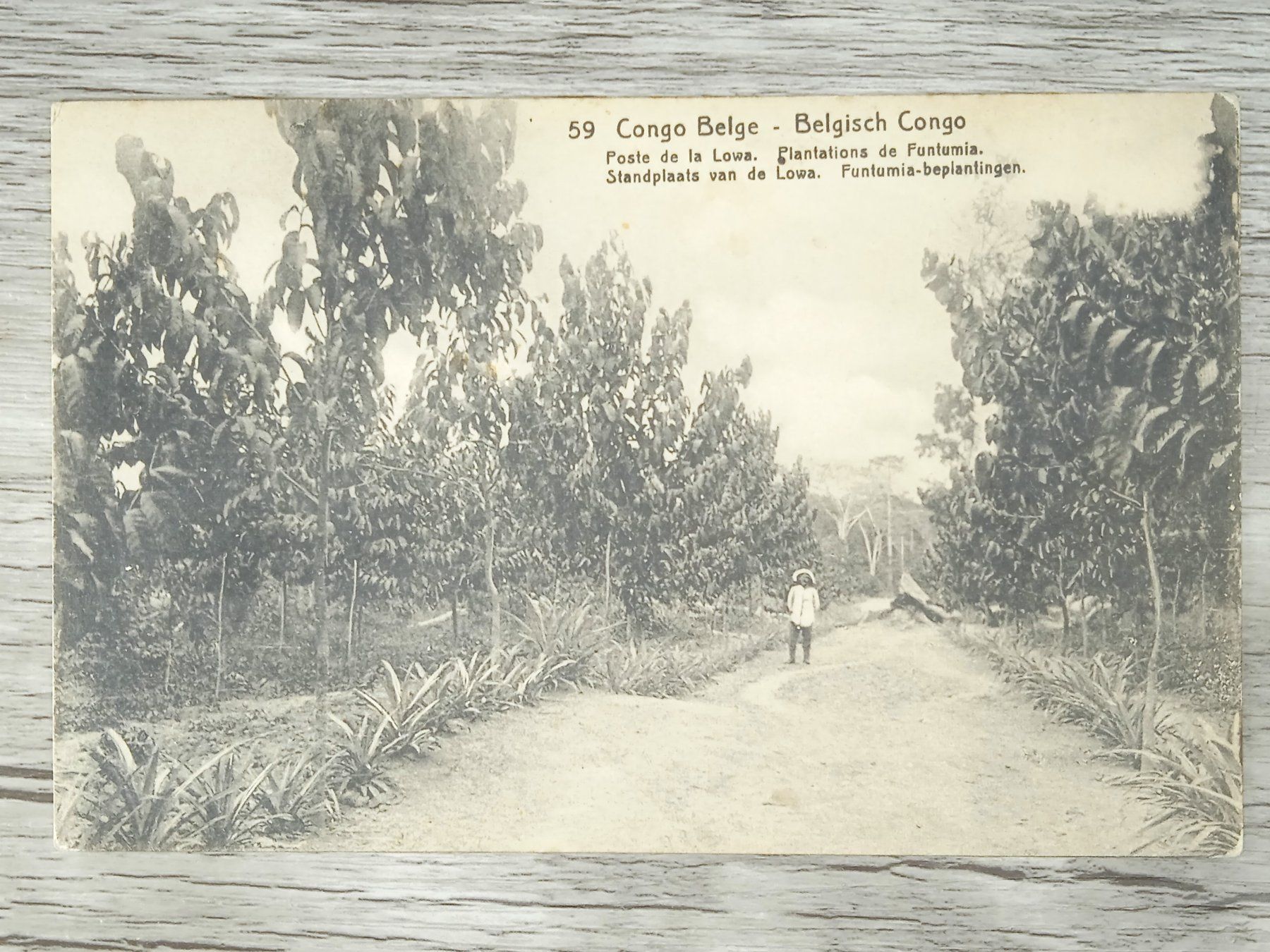 Tutti i francobolli: TR04 Carte Postale + Timbre Congo-Belge 1919/21 – Usato da Cousset venduto da Patrick_Collections