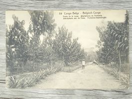 TR04 Carte Postale + Timbre Congo-Belge 1919/21