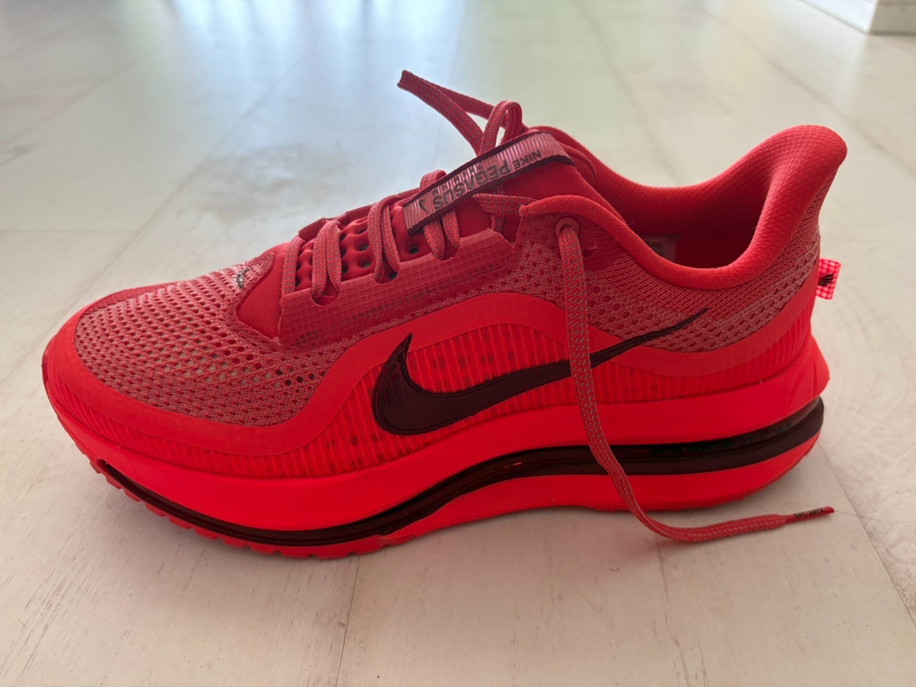 Nike Herrenschuhe: Nike Pegasus Premium – Gebraucht aus Neuchâtel von man_h9fp 2