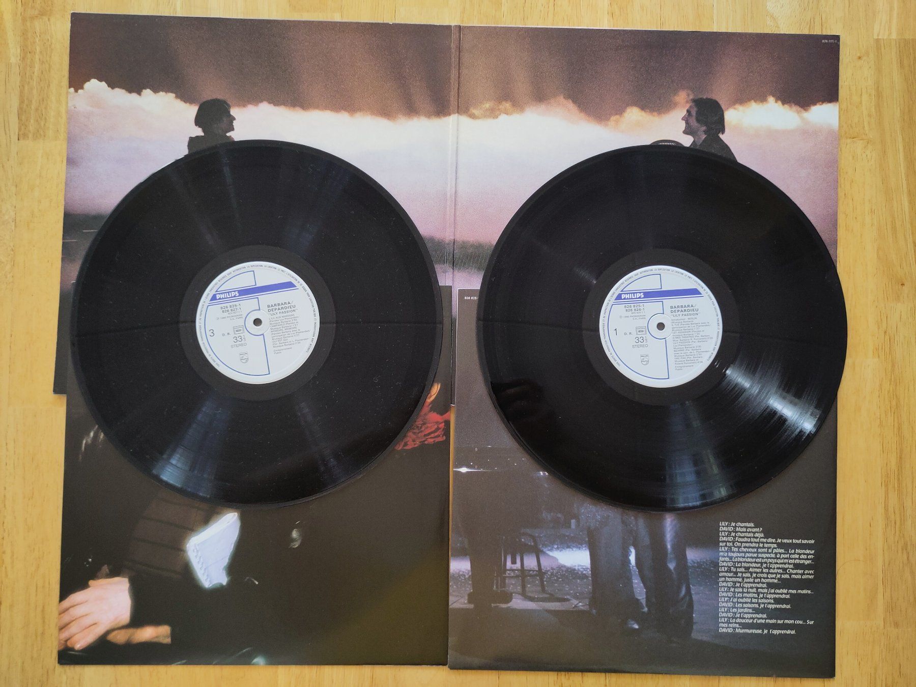 Dischi in vinile: Barbara & Depardieu | "Lily Passion" | 2 LP – Usato da Lausanne venduto da Otvald 3
