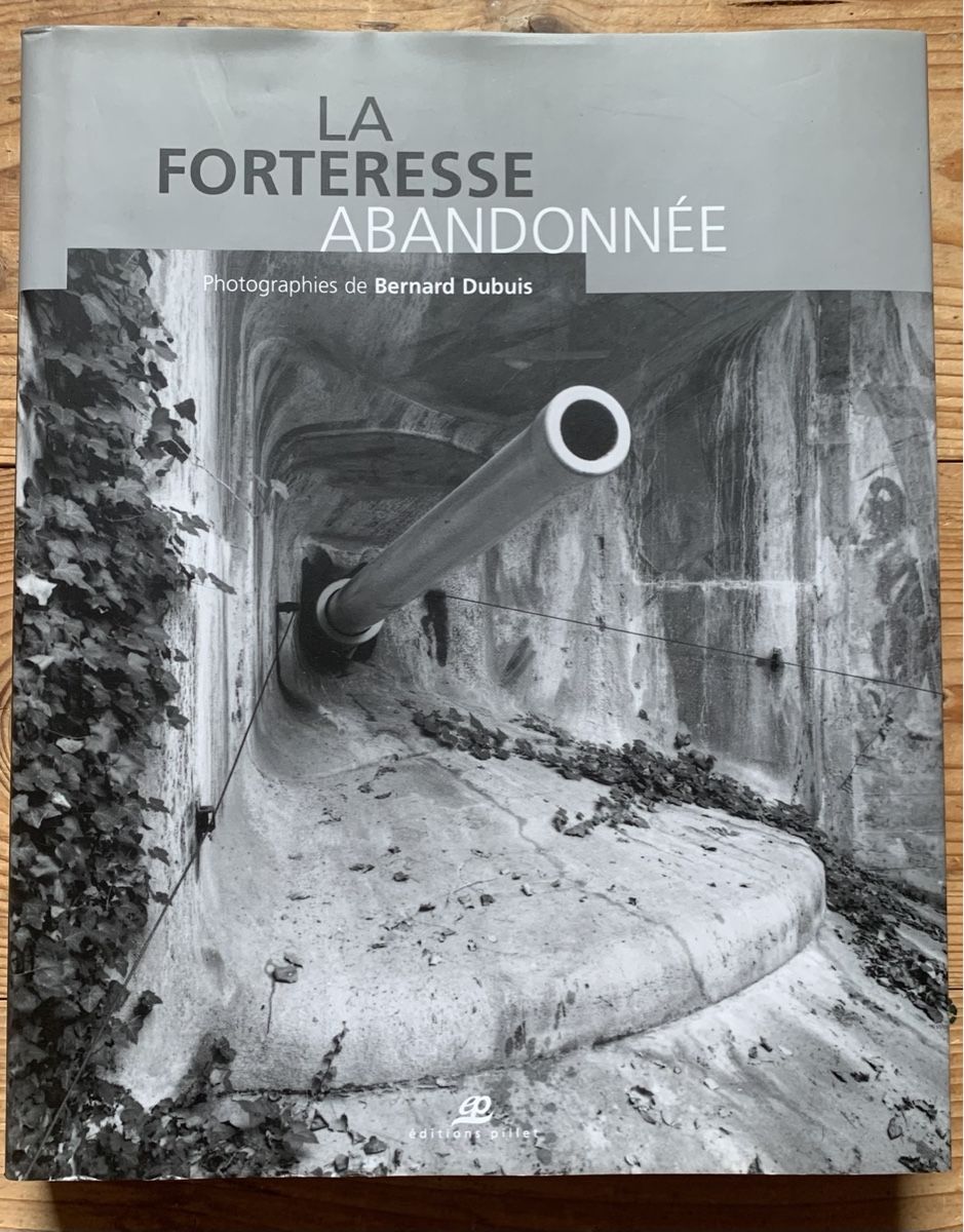 Libri: Buch La forteresse abandonnée – Nuovo (secondo la descrizione) da Goldingen venduto da Bergler012