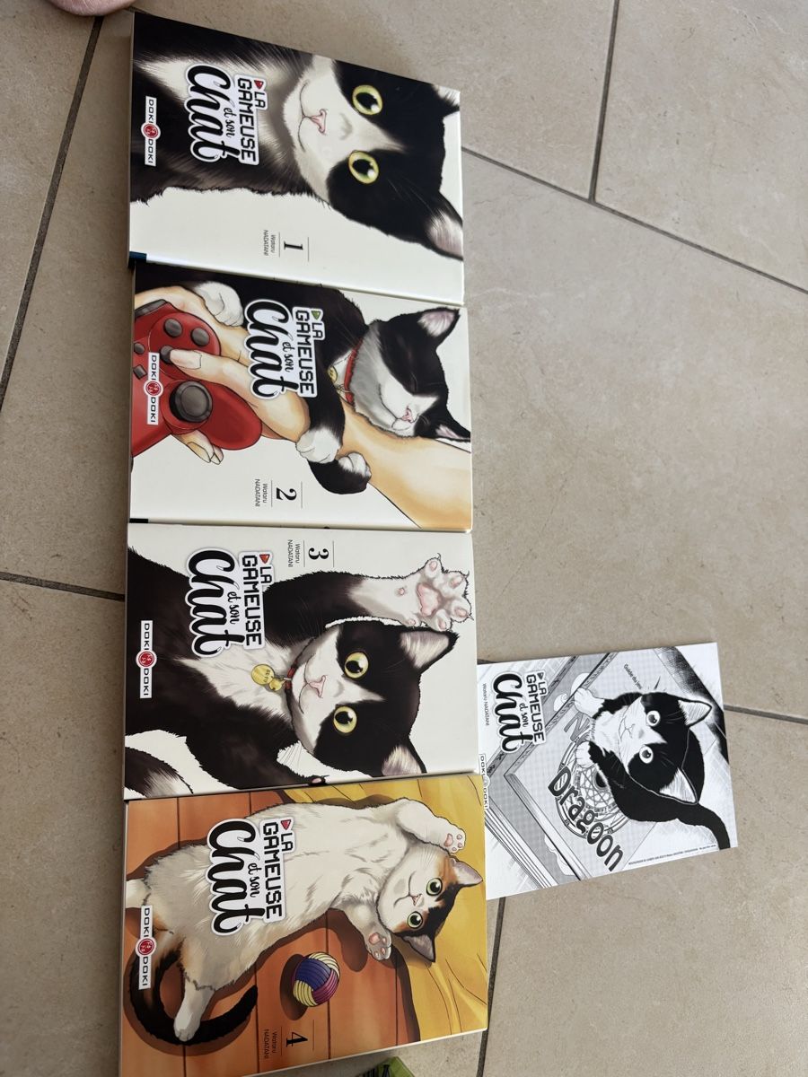 BD: La gameuse et son chat  – Neuf (Voir description) à Chez-le-Bart par lis_6njv 1