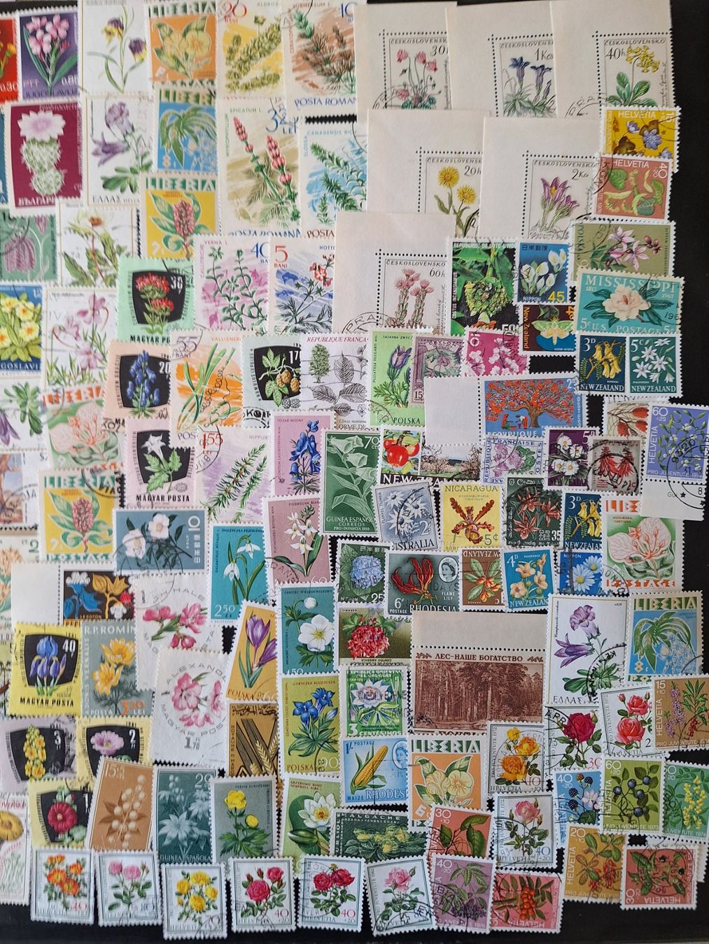 Tutti i francobolli: Grosse Blumen und Pflanzen-Sammlung – Usato da Genolier venduto da Antoine30 5