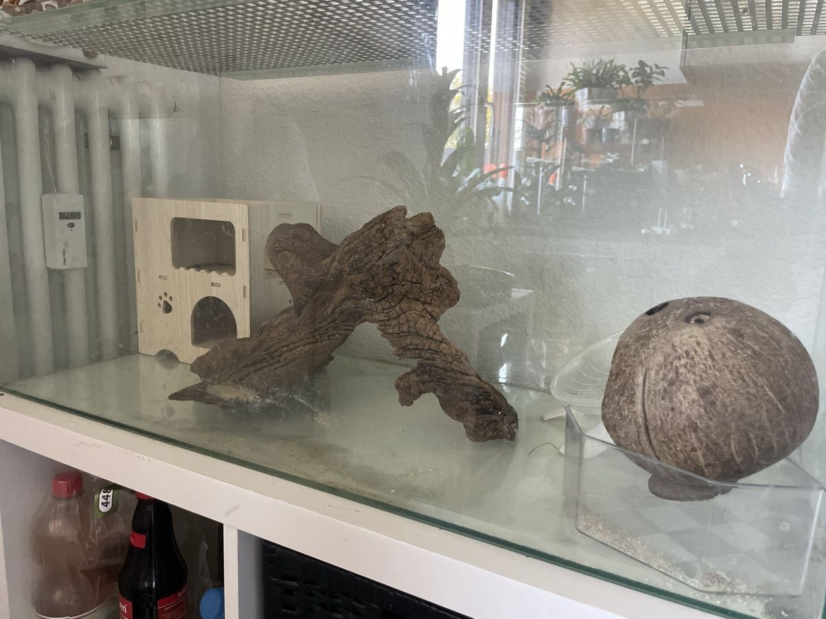 Terrarium: Terrarium/Aquarium  – Gebraucht aus Uster von mir_7bzy 1