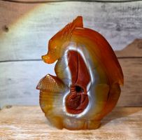 Top Karneol Drache 806g