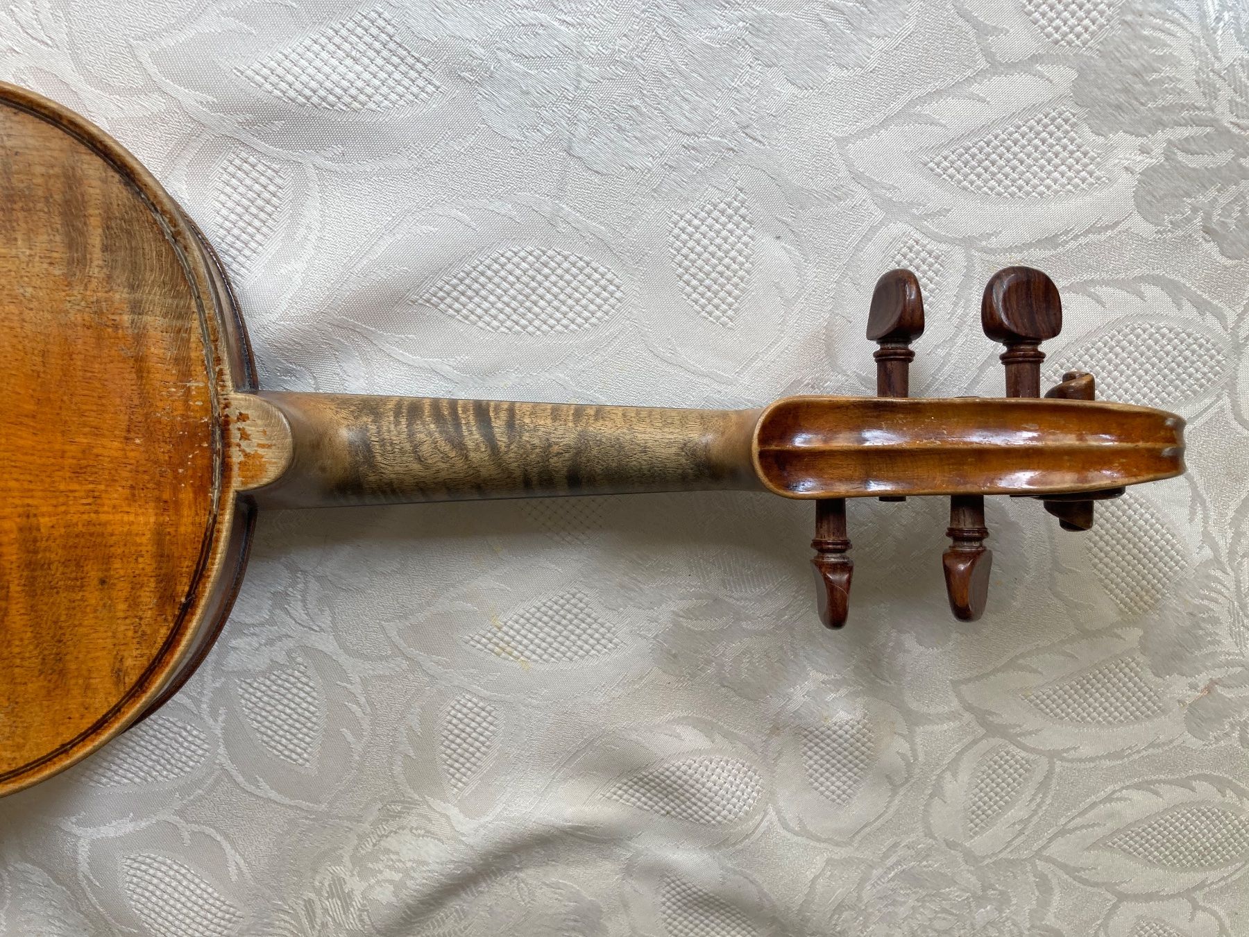 Strumenti musicali: Violine guterhalten – Usato da Rüti ZH venduto da coccinelle88 6