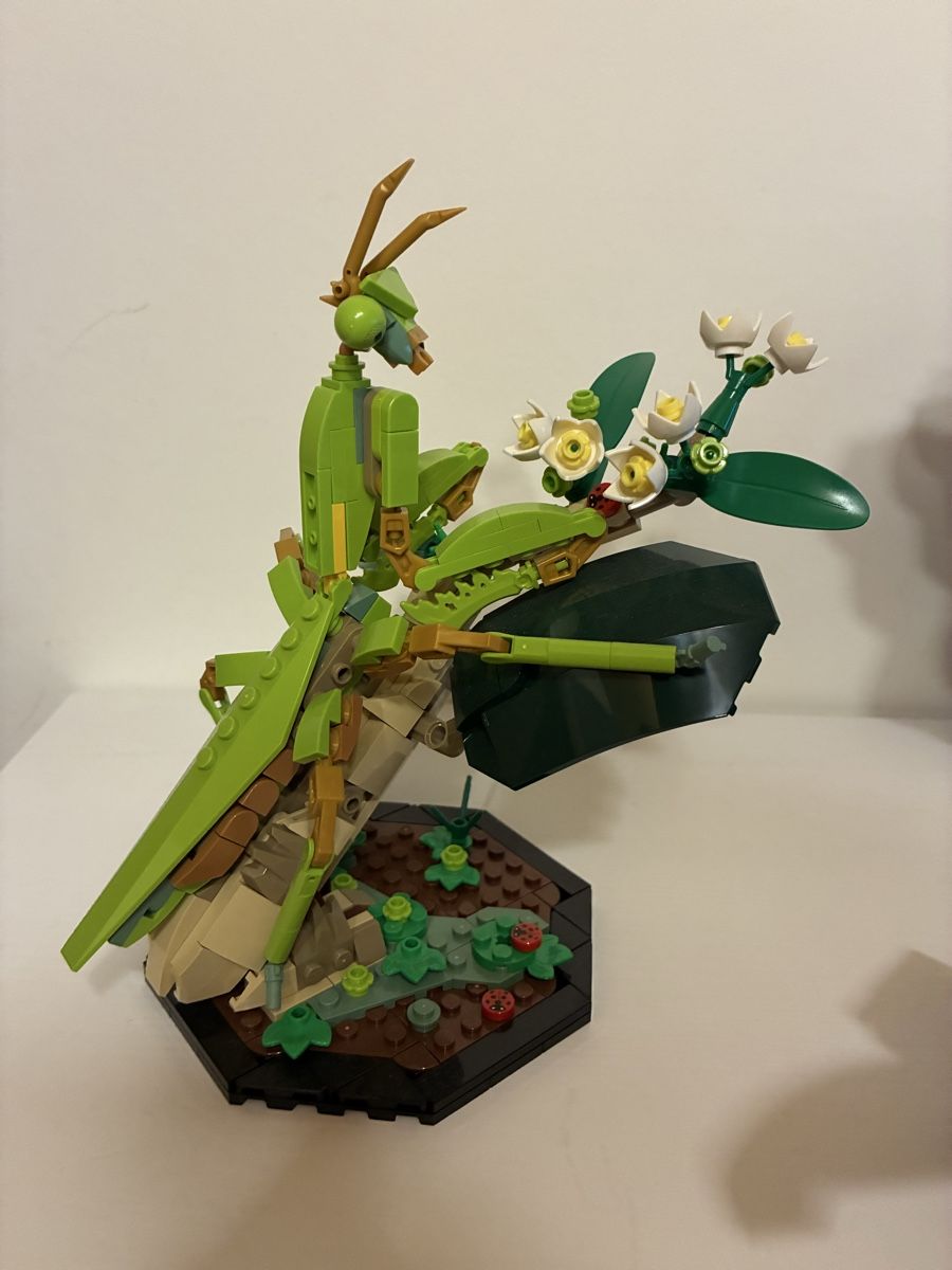 Lego Kit di costruzioni: Lego Insektensammlung 21342 – Usato da Speicher venduto da spla03 1