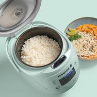 Reishunger Reiskocher digital mint 0.6 Liter
