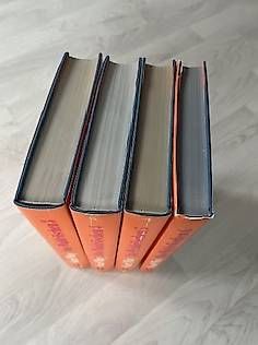 Libri: Karl May - Das Waldröschen - 4 Bände – Usato da Löhningen venduto da Sojoso 3