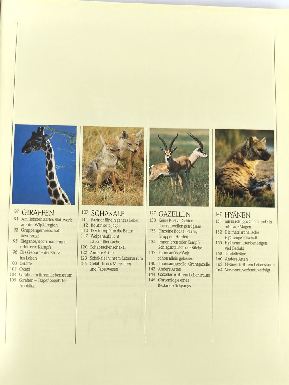 Libri: BUCH Tiere der afrikanischen Savanne – Usato da Schaffhausen venduto da Restwert_SH 3