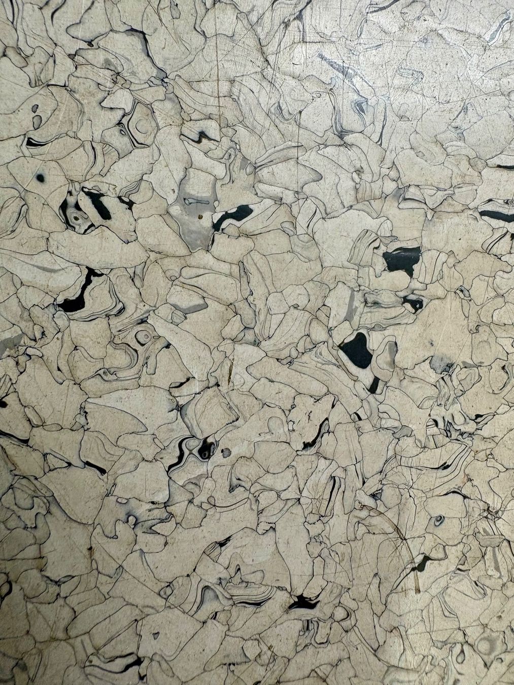 Forbo Revêtements de sol: Kunststoff Bodenplatten von FORBO – D'occasion à Gipf-Oberfrick par Wadi70 2