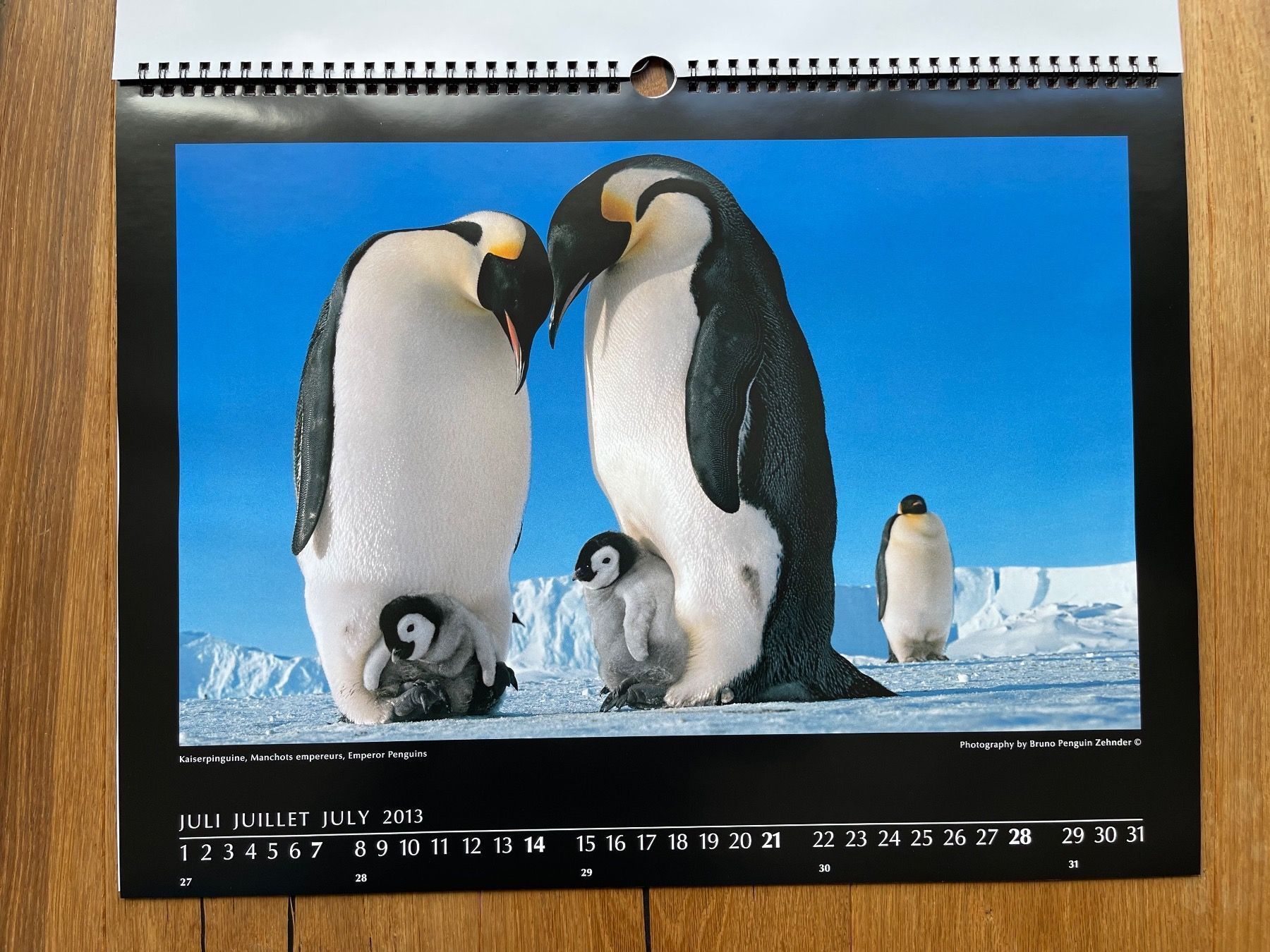 Kalender: Pinguin-Kalender (Bruno Zehnder) – Neu und originalverpackt aus Volketswil von doughboy 1
