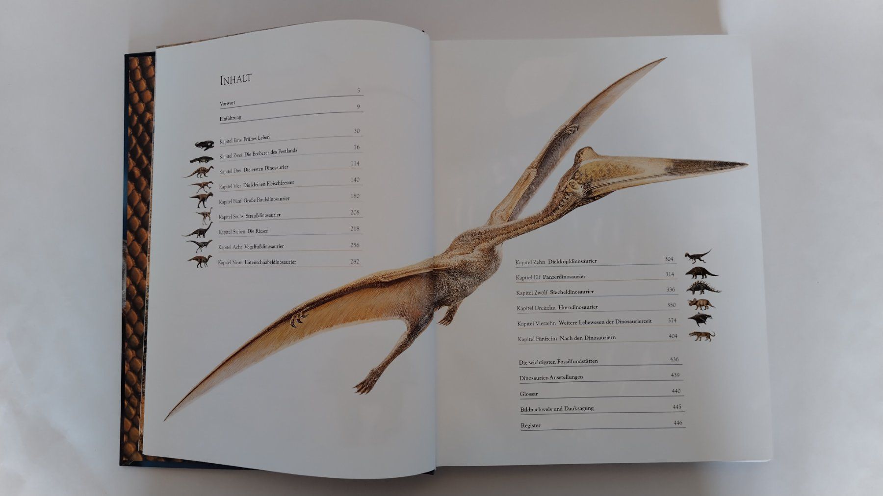 Libri: Dinosaurier / Buch 2004 mit 448 Seiten ab Fr. 14.- – Usato da Bellach venduto da JingleJerry 2