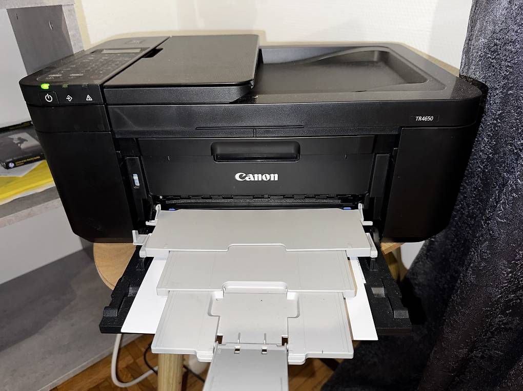 Canon Stampanti: Imprimante canon – Usato da Marly venduto da cam_9gvp