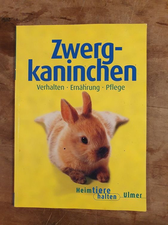 Zwergkaninchen - Verhalten, Ernährung, Pflege | Kaufen auf Ricardo