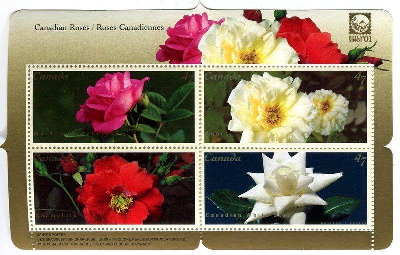 Tous les timbres: Block "Rosen". Kanada – Neuf avec emballage d'origine à Basel par Butsch5